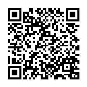 他看到金色的巨龙和白色的巨龙无助的看着一条条的神龙死去二维码生成