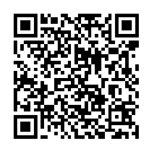 他看着在雾气当中涌动的那个庞大模糊的黑影慢慢逼近二维码生成