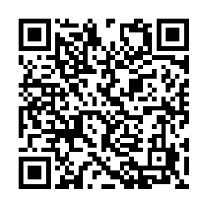 他真的怀疑在来这么一波他的心脏绝对会承受不了二维码生成