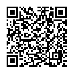 他真的还不想死……但他不能用出卖自己组织来求得活命的机会二维码生成