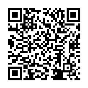 他知道对付这种毒蜂首要就是在它们发起攻击前消灭它们二维码生成