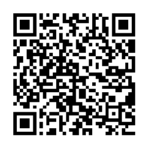 他知道很多明星接代言的事情基本上都是经纪人和公司搞定的二维码生成
