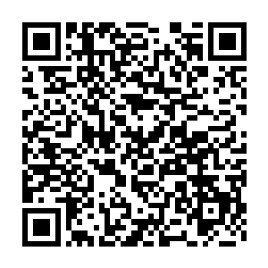 他知道自己这位市委书记已经完全被眼前这位神奇的年轻叔爷给折服了二维码生成