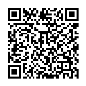 他知道要在玲珑仙塔内遇见张潇晗的机会几乎没有了二维码生成