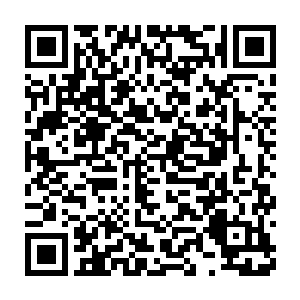 他祭出了手中的渡厄塔血舞魔剑以及一直沉睡在造化青莲中的月殇弓二维码生成