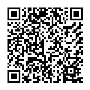 他竟然打算一个早上就把三十多颗十阶以上的精灵宝钻全部吸收掉二维码生成