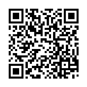 他第一次死亡任务就是最后一日凭借实力弱小二维码生成