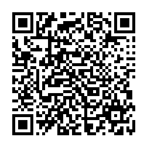 他终于开始明白为什么自己的爷爷不惜一切代价逃离医院也要去找这个孩子二维码生成