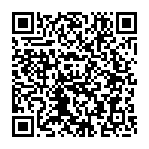 他给组织部常务副部长粟明俊和研究室副主任周彪请到了市委五会议室二维码生成