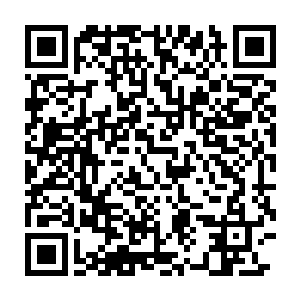 他给阿珊居住的那套房子就在蒲黄榆二里小区的一座十一层塔楼里二维码生成