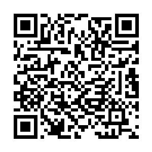 他绝对不会轻易放过这个跟他有着血海深仇的家伙二维码生成