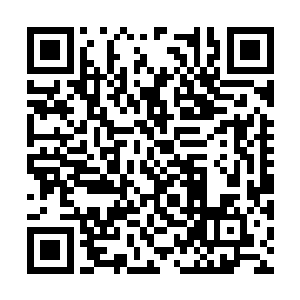 他绝对不相信夏天和龙潇潇能够活着从这里走出去二维码生成