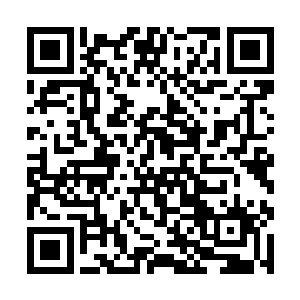 他缓缓看一眼与他同样押跪在地上那一群狼狈的仆役二维码生成