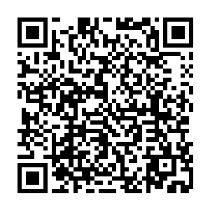 他脑子还没搞清楚为什么原本撞死一个人然后继续逃窜的剧情变成了现在这样二维码生成