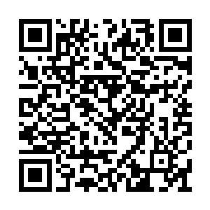 他自己则与白浅诺带着几个模样稍微标致的大娘二维码生成