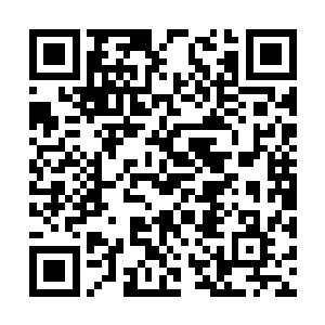 他自己都没指望在这里能切出哪怕一小块翡翠来呢二维码生成