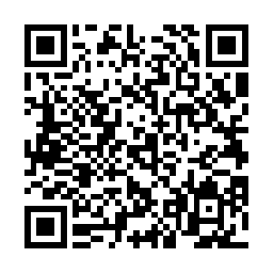他自然非常的清楚血族和血族之间是不能够同族而食的二维码生成