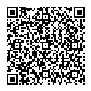 他自称在上一个副本里躲起来睡了一觉就平安度过……那么就说明他没有被别的玩家的雷达发现二维码生成
