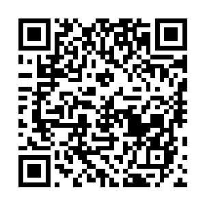 他融合的那记忆碎片只是那位前辈大能的一点点记忆而已二维码生成
