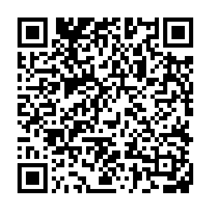 他被苗侯禁足……里面与他血脉相关的事物应当是我们头发缠结的锦囊二维码生成