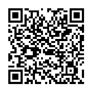 他要做的就是把大树下那些不稳定的因素消灭在萌芽里二维码生成