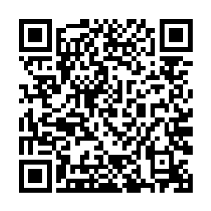 他见到暗幽林此时那绝望的眼神就会浮现另一个影子二维码生成