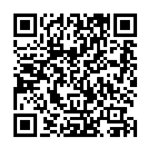 他觉得他已经是看在圆圆和程荣瑞的面子上好声好气的来二维码生成