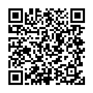 他觉得杀了杨风那才是唯一的出路这样的话才能完成任务二维码生成
