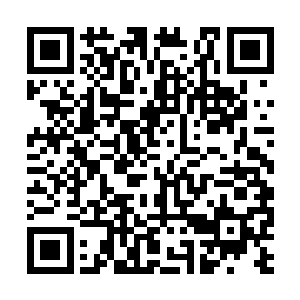 他觉得许紫烟之所以被族长捧为了家族的精神领袖二维码生成