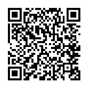 他觉得那名清吏司官员折断尾指的惩罚太过轻松也一言不发二维码生成