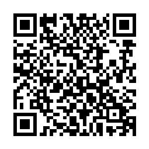 他认为社会诚信体系的建立会极大的优化社会经济事业发展环境二维码生成