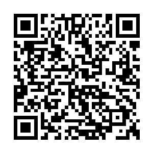 他记得点数是可以在兑换系统里兑换各种物品的二维码生成