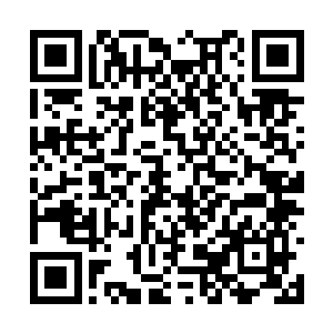 他记得第一次在龙海市光明广场看到魏海娟的时候二维码生成