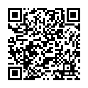 他记得那天晚上是由铁龙跟程国栋护送两位大小姐出门的二维码生成