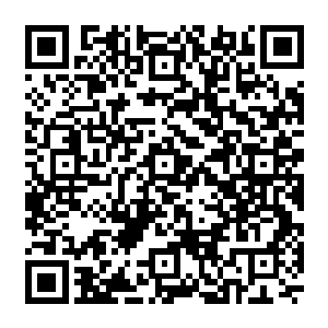 他说的开发区周围一些社会上的混子都在觊觎开发区开发起来的备种土建工程并非虚言二维码生成
