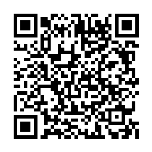 他说的是廖辽的作品――反正廖辽确实答应过他二维码生成