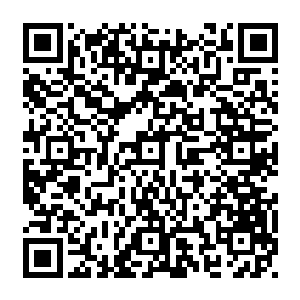 他蹲了下来从衣服里面的一个小瓶子里面拿出来了一颗黄色的药丸试图喂给姚星月二维码生成