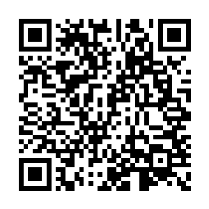 他身上的白衣也瞬间出现了数个被血染红的地方二维码生成