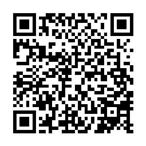 他身上的血红色就要淡一分…而小龟的身体就要缩小一点…二维码生成