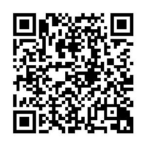 他身后的水晶屏风中自带的符文阵法就已经自动加持了他的声音二维码生成