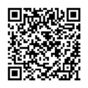 他身边的其他人则用灵识抵挡住了康长老的营救二维码生成