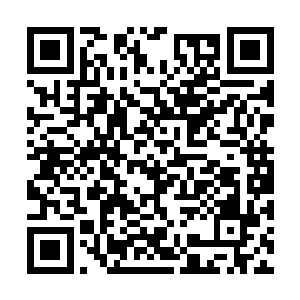 他过低的估计了闻人牧月身边组成人墙的保镖队伍二维码生成
