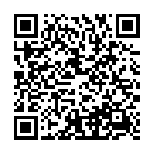他还在注视着另外一个和他一样保持安静姿势倾听的人二维码生成