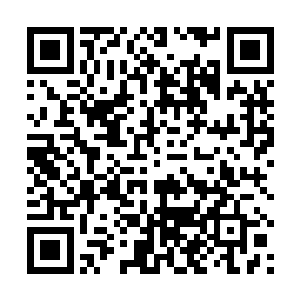 他还巴不得来些不长眼的家伙给自己添点折磨的目标呢二维码生成