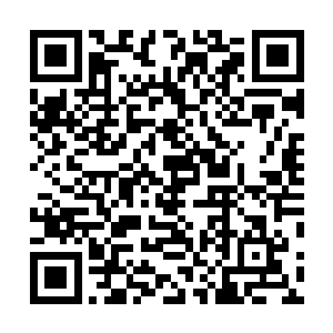 他还是在他儿子四周安排了不少天门弟子和登天门的护法二维码生成