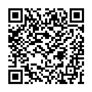 他还是第一次坐在省歌舞团的演出大厅里看节目二维码生成