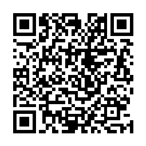 他还没见过哪个人能够在他的手下骨头硬得很厉害的程度二维码生成