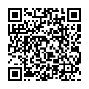他还给了在曼联遭受挫折的迭戈·弗兰以对的信任二维码生成