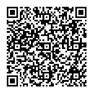 他这一趟去美国主要就是代表中国沪上电气和黑河电气竞标联合体去和通用电气和绍尔集团进行谈判二维码生成