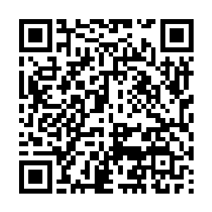 他这个修炼出来的凤凰之翼不知多长时间没有使用二维码生成